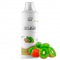 Коллаген 2SN Collagen Liguid Wellness 1000 мл