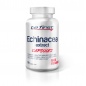 Антиоксидант Be First Echinacea extract 90 капсул