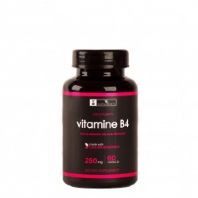 Витамины Valhalla Labs Vitamine В4 60 капсул