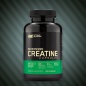  Optimum Nitrition Micronized creatine 300 