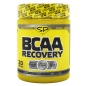  SteelPower BCAA RECOVERY 250 