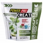 Креатин Power Pro Creatine Maxmum Recovery 400 гр