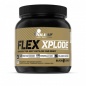 Хондопротектор Olimp Flex Power 360 гр
